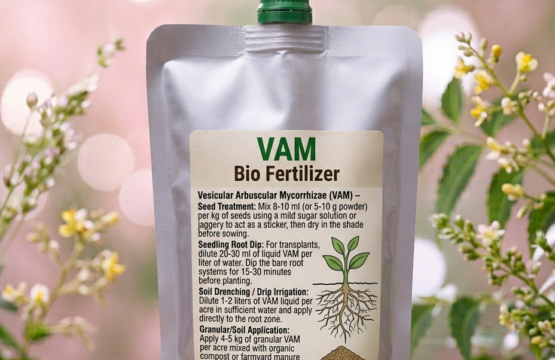 Vesicular Arbuscular Mycorrhizae (VAM) - Natural Farming Biofertilizer, Organic